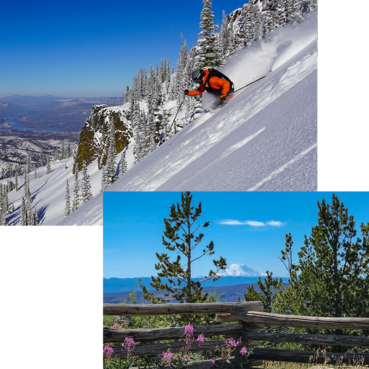 Photo collage of two images with a photo of a skier in orange jacket and black vest making deep powder turn at Mission RIdge with river view below under a photo of Mt. Rainier as seen from the summit of Mission Ridge during the summer.