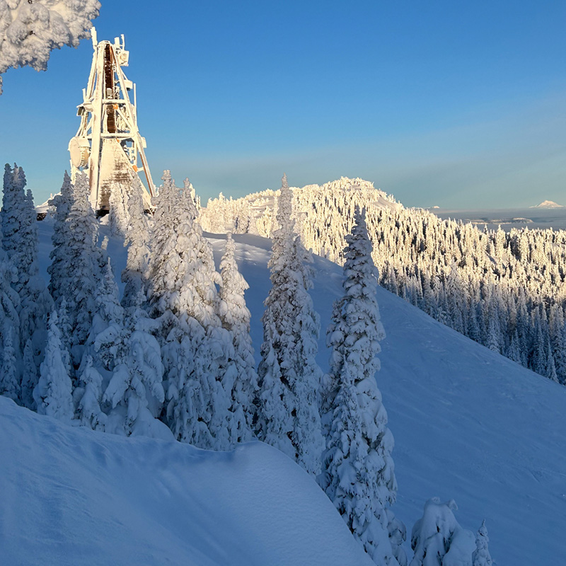 A breathtaking winter landscape featuring snow-covered evergreen trees under a vibrant blue sky. In the foreground, a weathered wooden structure rises above the treetops, while in the background, the sunlight casts a golden glow on the snowy peaks and dense forest.