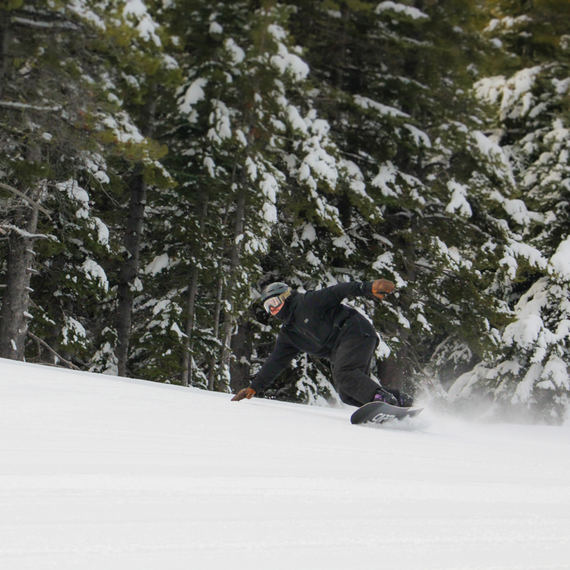 A snowboarder in black palms the snow as he carves in front of coniferous trees.