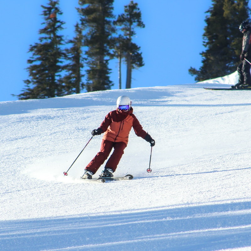 a young skier carves a sunny groomed run