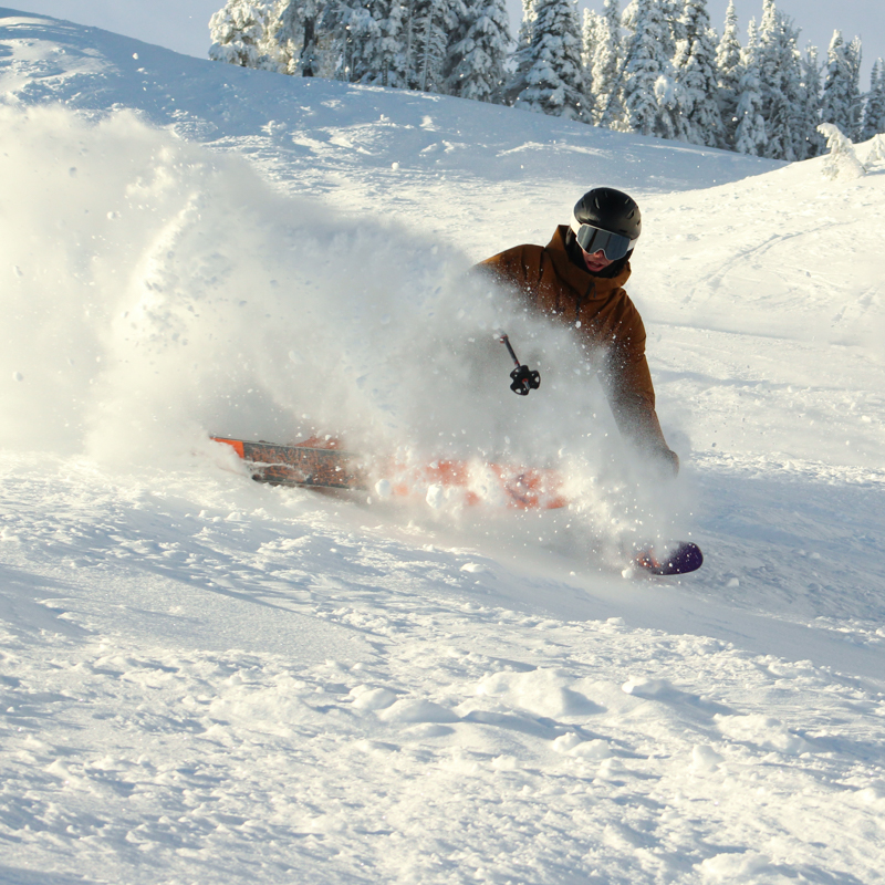 A skier sends up a spray of powder on a sunny day.