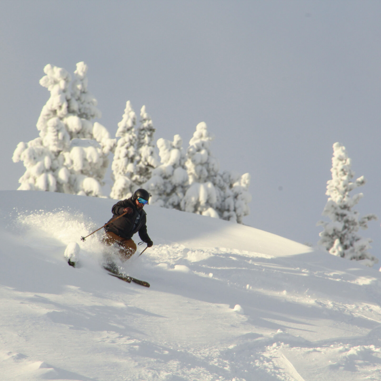 A skier in black sprays powder off piste on a sunny day.