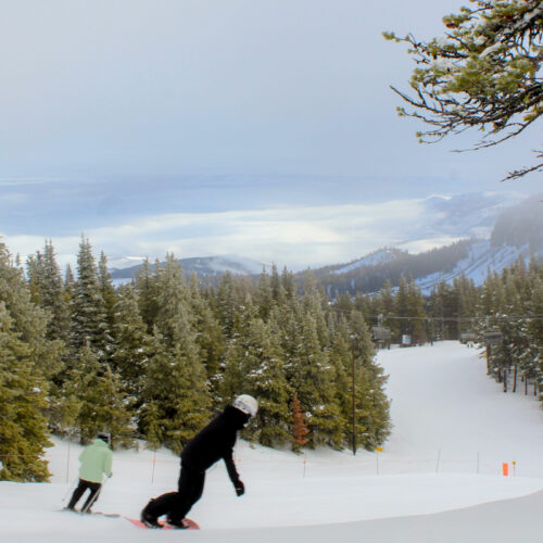 a skier and a snowboarder cruise past conifers. a foggy valley frames the shot