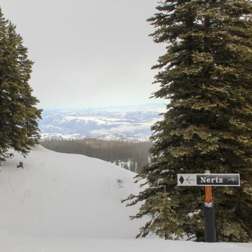 a sign marking the black diamond run Nertz points between conifers to a trail and valley landscape